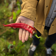 Load image into Gallery viewer, Burlap & Barrel - Jimmy Nardello Pepper Flakes - Single Origin Spice: 0.9 oz glass jar
