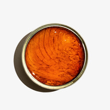 Load image into Gallery viewer, Fishwife - Albacore Tuna in Spicy Olive Oil