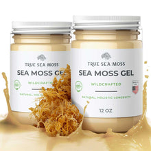Load image into Gallery viewer, TrueSeaMoss - WILDCRAFTED SEA MOSS GEL: Original / 1 Pack