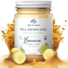 Load image into Gallery viewer, TrueSeaMoss - WILDCRAFTED SEA MOSS GEL: Original / 1 Pack