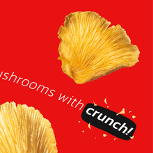 Load image into Gallery viewer, EVIL SNACKS - Evil Snacks Crunchy Mushroom Chips Sour Cream Flavor 2oz Bag