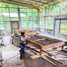 Load image into Gallery viewer, Burlap & Barrel - Grenada Gold Mace - Single Origin Spice & Seasoning: 0.5 oz glass jar