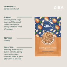 Load image into Gallery viewer, Ziba Foods - Sweet Apricot Seeds (Dry Roasted & Salted) Vegan 1oz