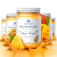 Load image into Gallery viewer, TrueSeaMoss - WILDCRAFTED SEA MOSS GEL: Original / 1 Pack