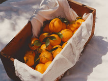 Load image into Gallery viewer, Marmalade Grove - Ruby Valencia & Apricot Fruit Spread: 9.5oz Marmalade Jar