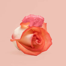 Load image into Gallery viewer, California Gummy Bears - SAN DIEGO STRAWBERRY ROSE - ORGANIC, VEGAN & SUSTAINABLE
