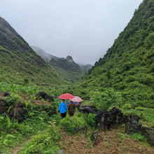 Load image into Gallery viewer, Burlap & Barrel - Five Spice - Single Origin Spice & Seasoning Blend