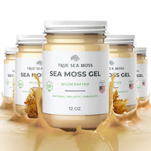 Load image into Gallery viewer, TrueSeaMoss - WILDCRAFTED SEA MOSS GEL: Original / 1 Pack