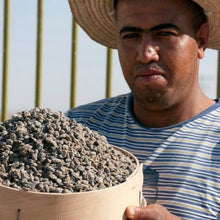 Load image into Gallery viewer, Gourmet Food Solutions, Inc. - Organic Wild Mountain Capers in Salt | Moulin Mahjoub