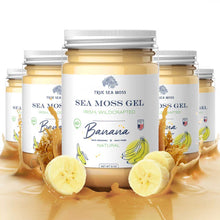 Load image into Gallery viewer, TrueSeaMoss - WILDCRAFTED SEA MOSS GEL: Original / 1 Pack