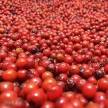 Load image into Gallery viewer, Burlap & Barrel - Purple Peppercorns grinder-top jar