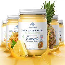 Load image into Gallery viewer, TrueSeaMoss - WILDCRAFTED SEA MOSS GEL: Original / 1 Pack