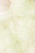 Load image into Gallery viewer, Flossie - Birthday Cake Cotton Candy