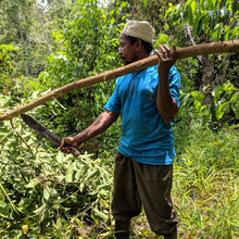 Load image into Gallery viewer, Burlap & Barrel - Cinnamon Verum (Ceylon)1.8 oz