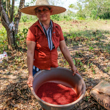 Load image into Gallery viewer, Curio Spice Co - Zenú Spice: Tin (1.7 oz)