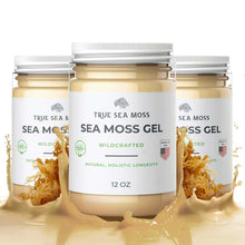 Load image into Gallery viewer, TrueSeaMoss - WILDCRAFTED SEA MOSS GEL: Original / 1 Pack