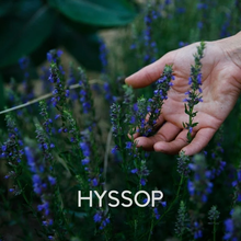 Load image into Gallery viewer, Herbal Revolution Farm + Apothecary - Love Your Lungs