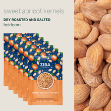 Load image into Gallery viewer, Ziba Foods - Sweet Apricot Seeds (Dry Roasted & Salted) Vegan 1oz