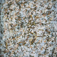 Load image into Gallery viewer, GARLIC Sea Salt by Maldon, 100g