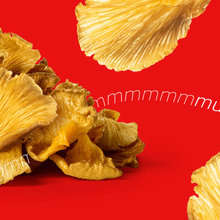 Load image into Gallery viewer, EVIL SNACKS - Evil Snacks Crunchy Mushroom Chips Sour Cream Flavor 2oz Bag