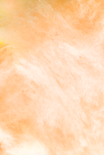 Load image into Gallery viewer, Flossie - Tangerine Cotton Candy