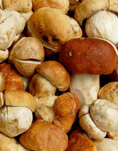 Load image into Gallery viewer, Wine Forest Ltd. - Dried Porcini #1 Mushrooms: 1.41oz/40 gr
