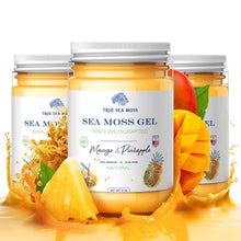 Load image into Gallery viewer, TrueSeaMoss - WILDCRAFTED SEA MOSS GEL: Original / 1 Pack