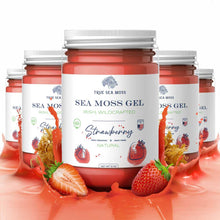 Load image into Gallery viewer, TrueSeaMoss - WILDCRAFTED SEA MOSS GEL: Original / 1 Pack