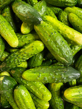 Load image into Gallery viewer, OlyKraut - Sour Pickle Chips