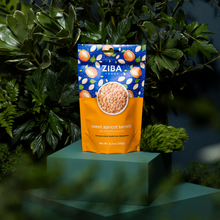 Load image into Gallery viewer, Ziba Foods - Sweet Apricot Seeds (Dry Roasted & Salted) Vegan 1oz