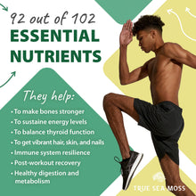 Load image into Gallery viewer, TrueSeaMoss - CRAFTED RAW SEA MOSS
