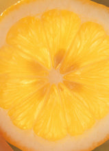 Load image into Gallery viewer, Marmalade Grove - Meyer Lemon &amp; Honey Marmalade: 10oz Marmalade Jar
